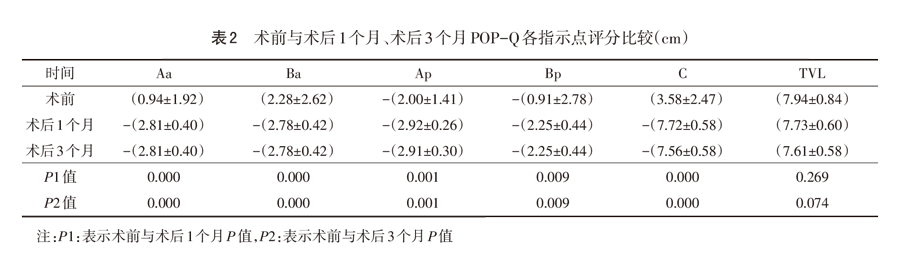 髂耻韧带固定术纠正中盆腔缺陷的短期疗效评价_陈飞-2.png